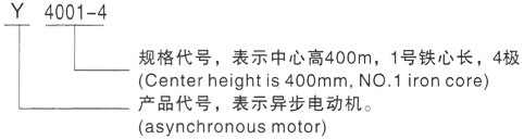 西安泰富西玛Y系列(H355-1000)高压YJTFKK450-12-6KV三相异步电机型号说明